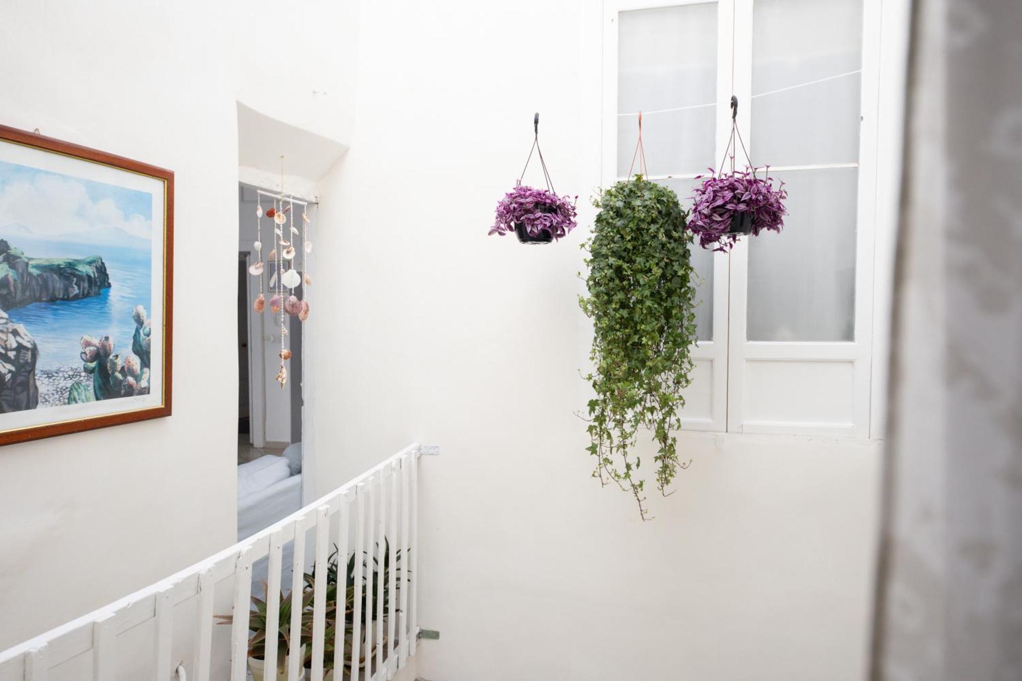 Casanova And To Rent Guest house
